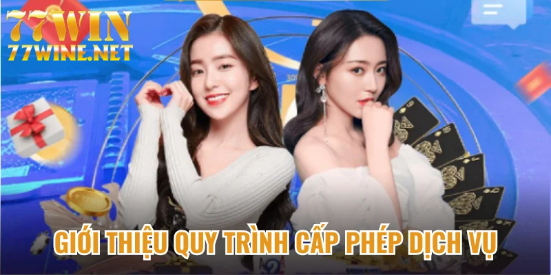 Giới thiệu quy trình cấp phép dịch vụ