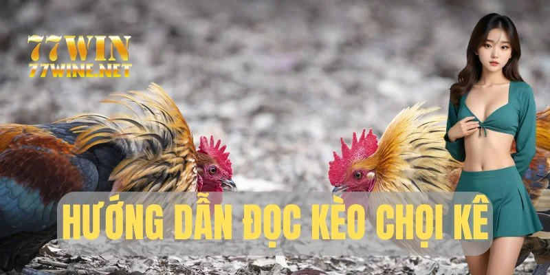 Hướng dẫn đọc kèo chọi kê