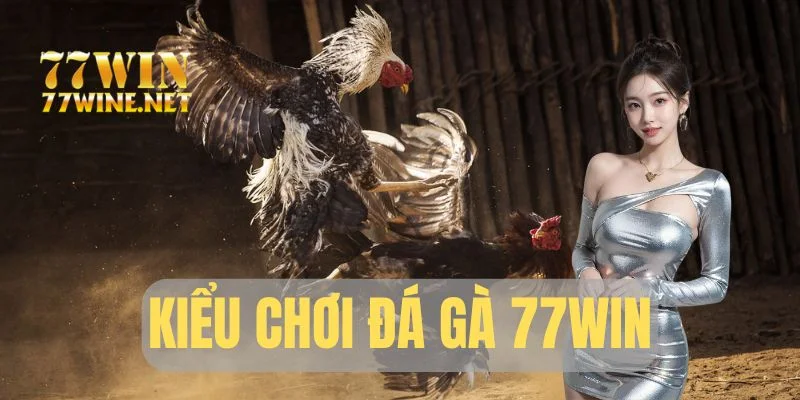 Kiểu chơi đá gà 77Win